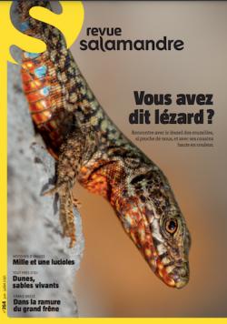 Vous..